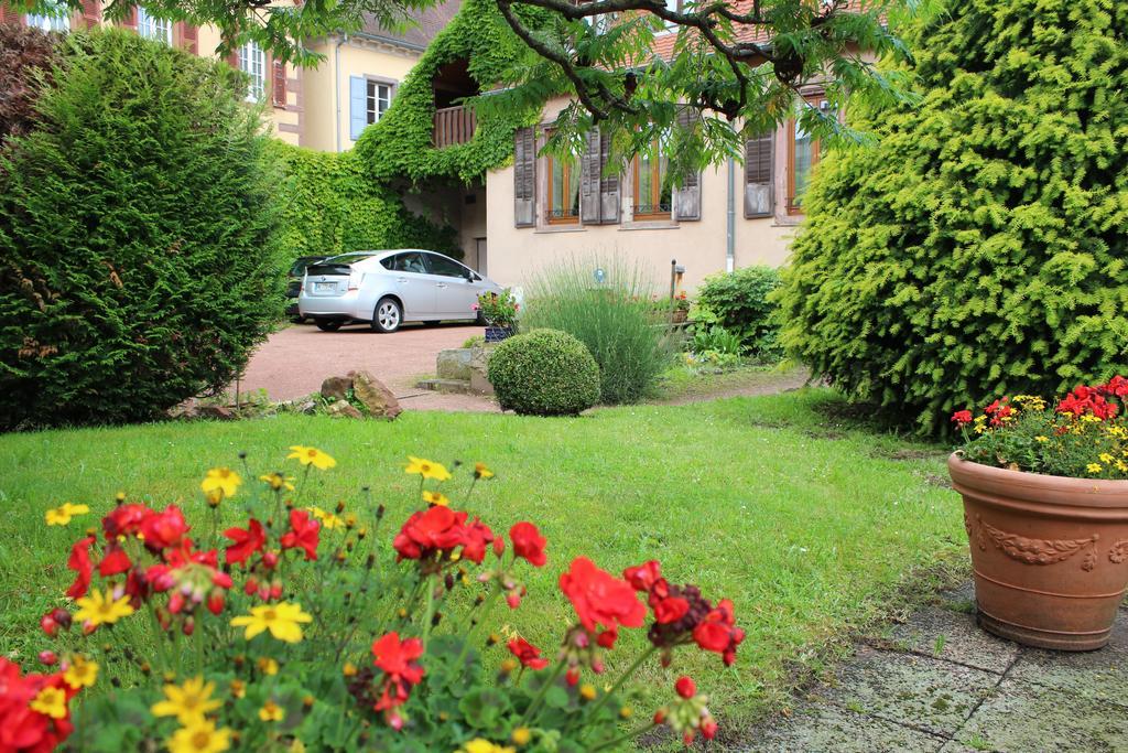 萨维尔纳Le Manoir De L'Abbaye公寓 外观 照片